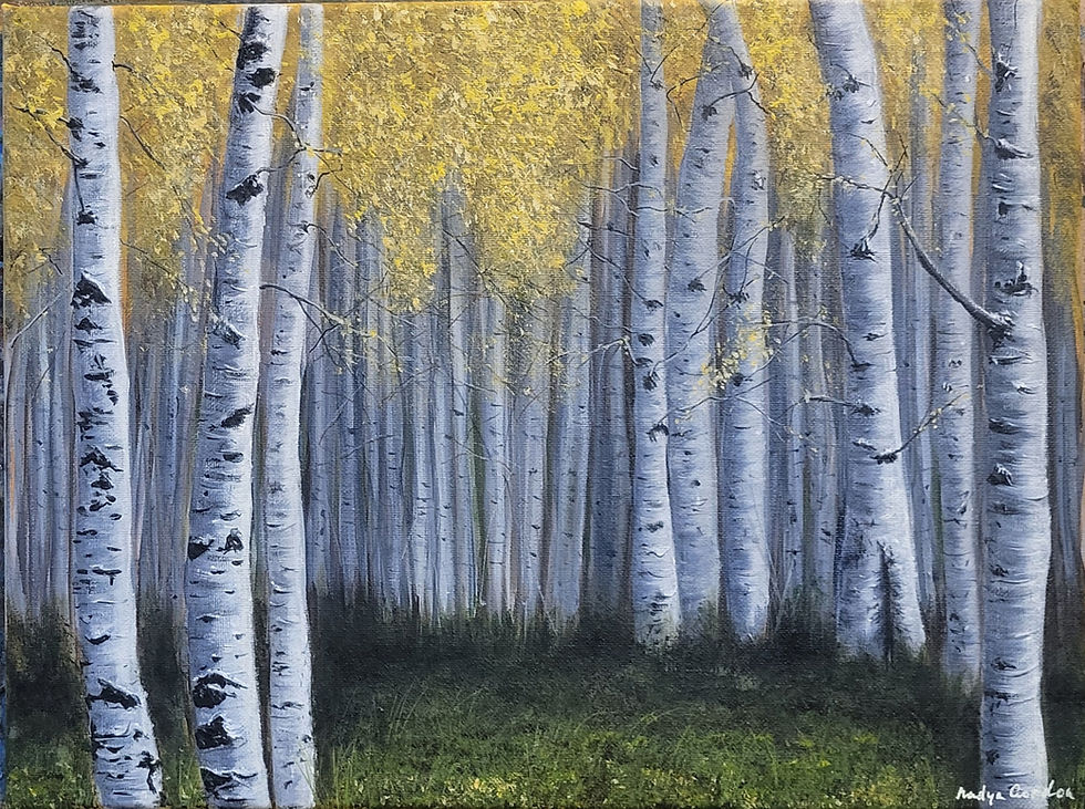 Thumbnail: Golden Birch Tree Forest Painting 12x16 inches 