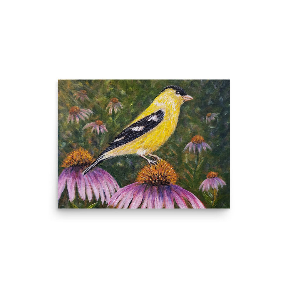Thumbnail: Goldfinch Giclee Print of Painting Yellow Songbird Purple Coneflowers