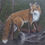 Thumbnail: Fox on a Log Original Painting 12x16 inches 