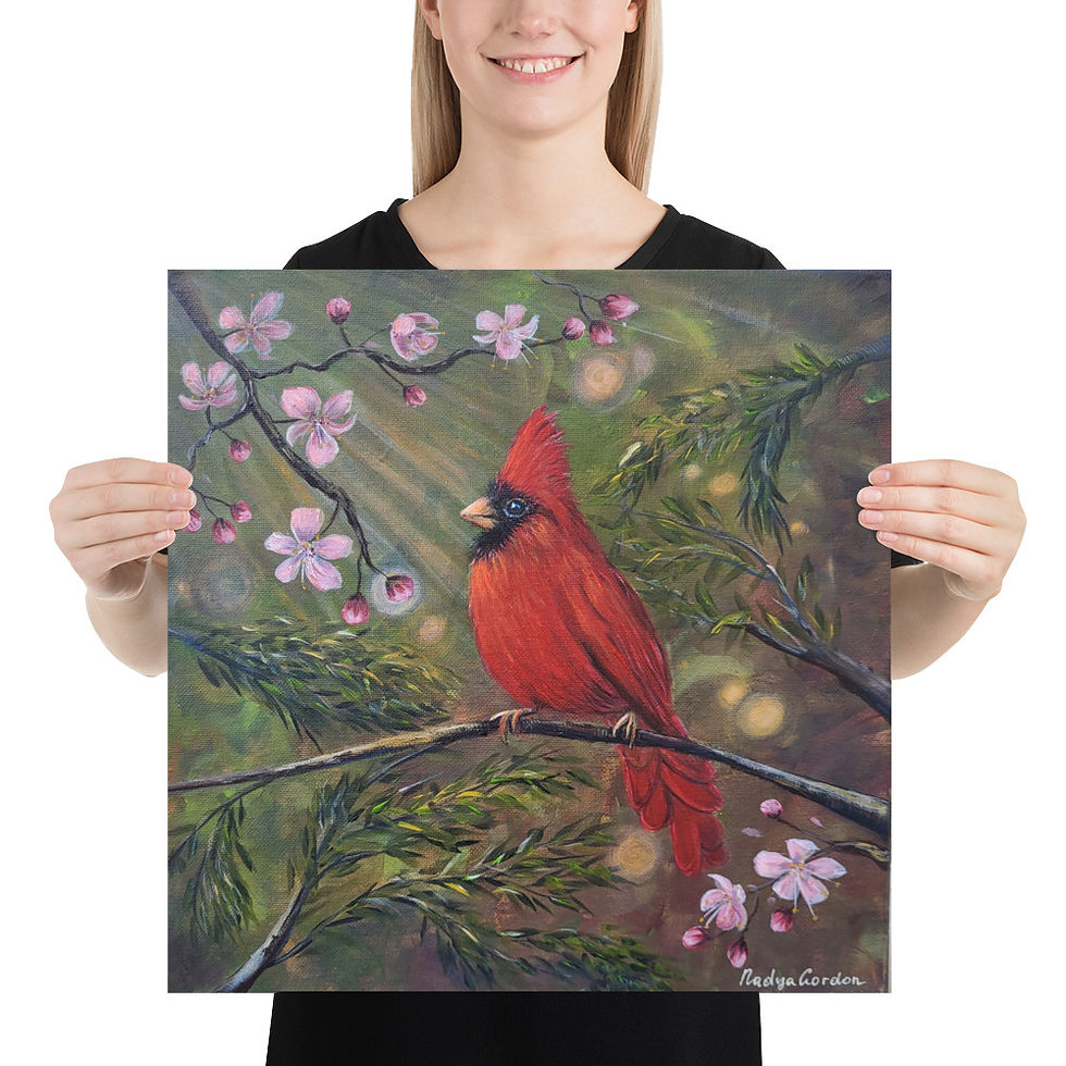 Cardinal Spring Cherry Blossoms Fine Art Print Poster
