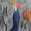 Thumbnail: Original Acrylic Painting of Woodpecker on Stretched Canvas – 12x12 Inch