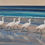 Thumbnail: "Egrets on the Shore" Original Acrylic Painting | 12x16 Unframed | Coastal Bird 