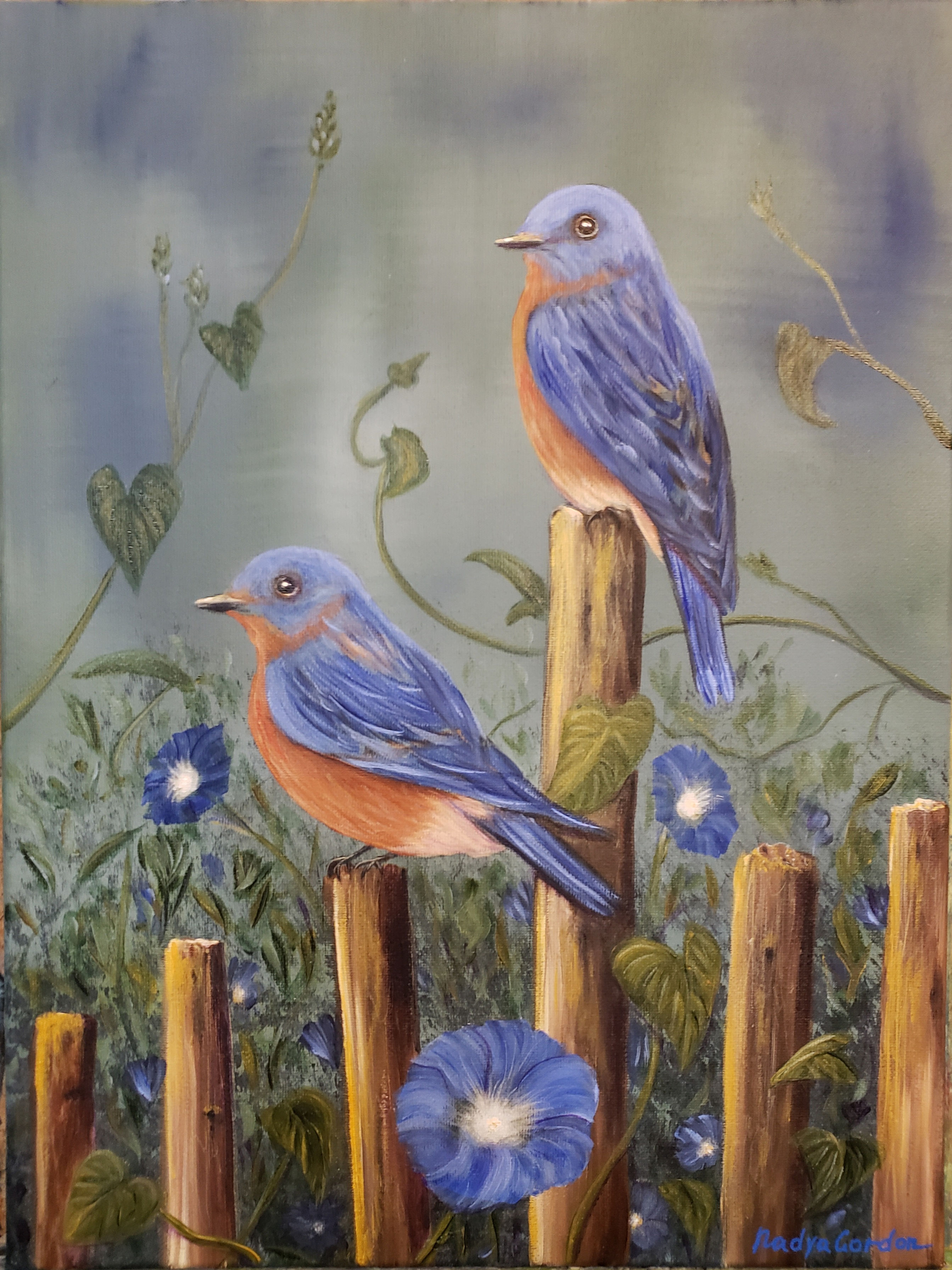 Bluebirds 