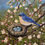 Thumbnail: Bluebird Nest Painting Original Art 8x10 Spring Blossoms Bird Wall Art Nature