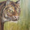 Thumbnail: Tiger