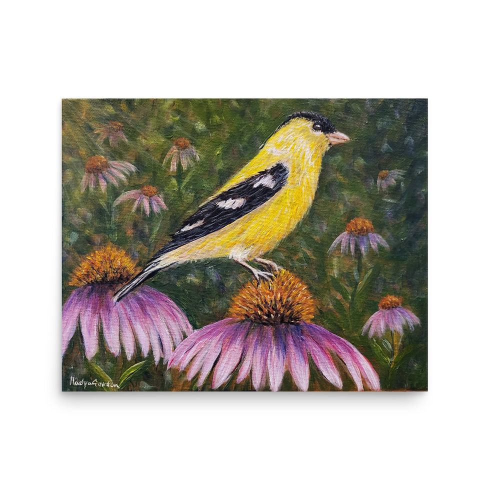 Thumbnail: Goldfinch Giclee Print of Painting Yellow Songbird Purple Coneflowers