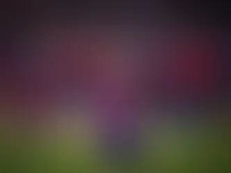 FC Barcelona domina La Liga y celebra el debut de una figura juvenil