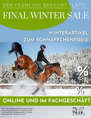 Final Sale Instagramposting Bild.jpg