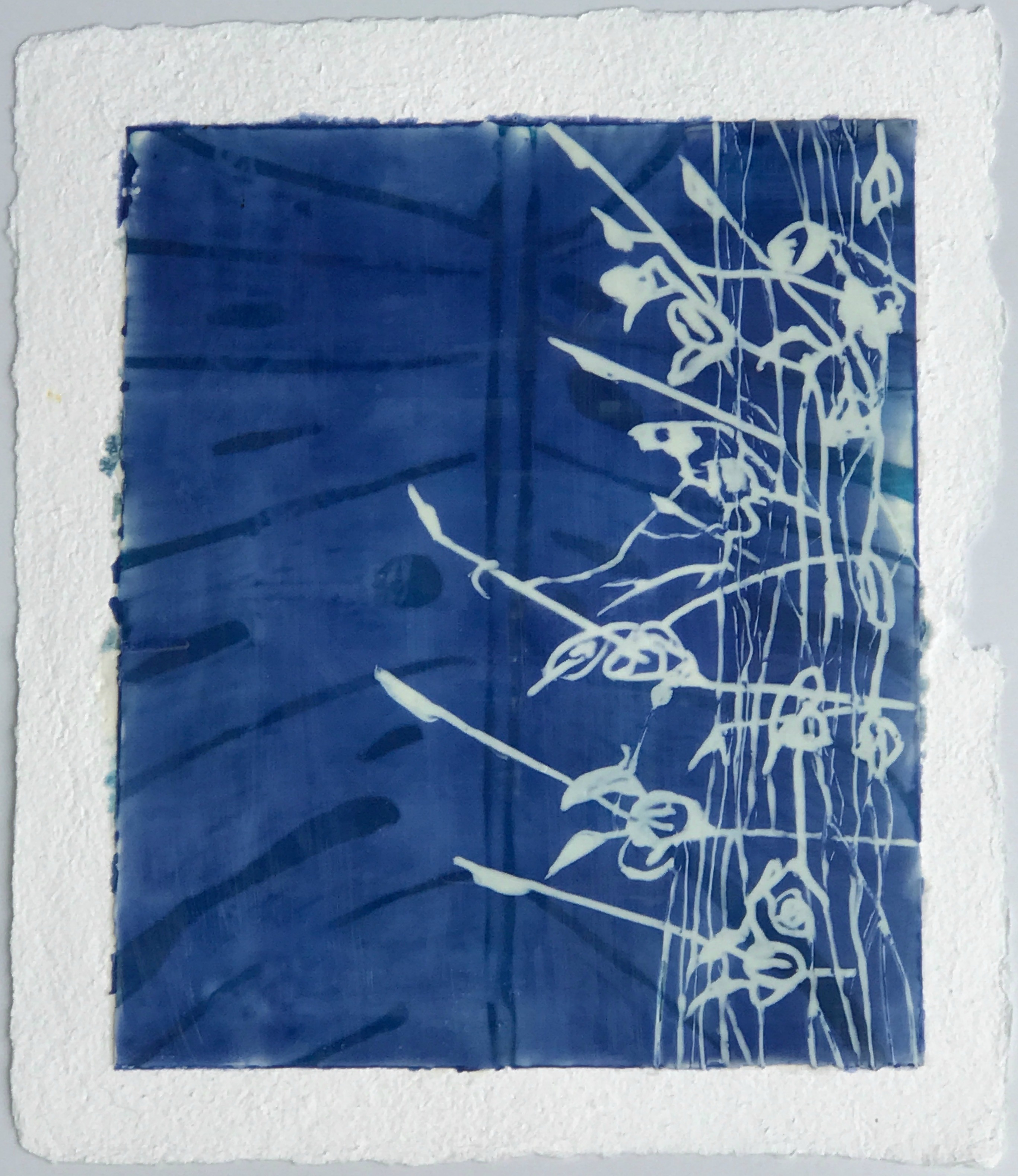 Watermarks Series No. 7