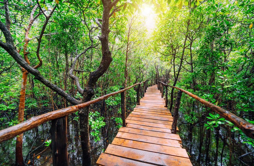 Screen Shot 2025-08-22 at 9.24.23 AM