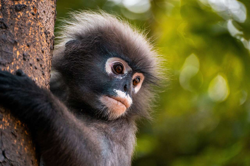 prachuap-khirikhan-thailand-travel-photo-20230514173531330-main-image