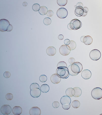 cristina-glebova-pS3KhrebTAw-unsplash_ed