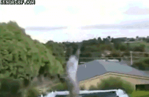 Dog-Win, Man-Fail
