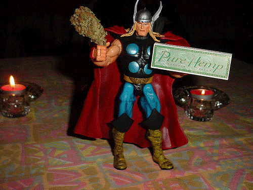 Thor n' Hemp