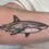 Miniature : Requin Sauvage