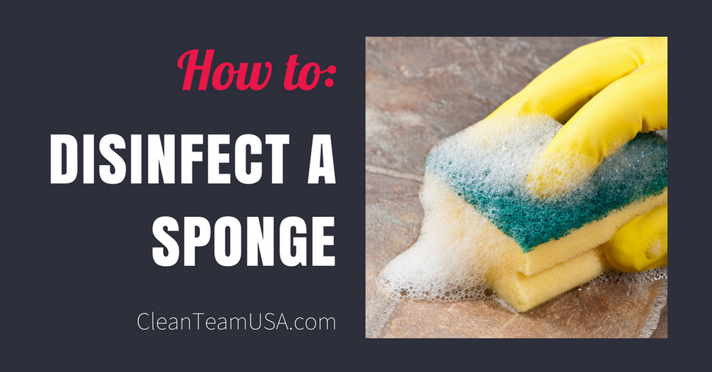 How to Disinfect a Sponge