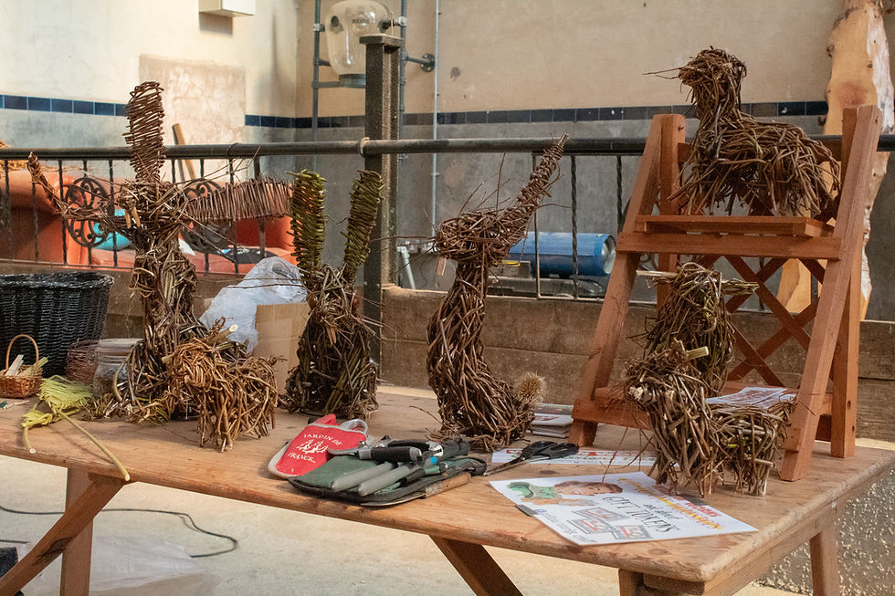 Willow creations displayed, from rabbits, highland cows and willow craft tools