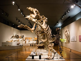 O que fazer com crianças aqui pertinho de casa