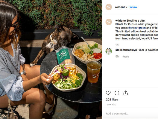 Pais de Pet. Novos PDVs estão surgindo para satisfazer a vontade dos millennials de "cuidar".