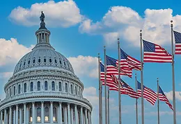 b523eed83_Government.webp