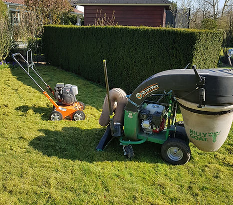 Bladzuiger en verticuteren