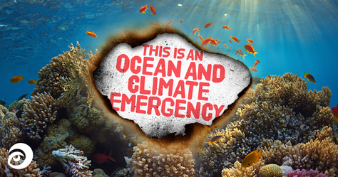 ENVIRONMENTAL CHARITY DECLARES OCEAN AND CLIMATE EMERGENCY 