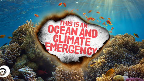 ENVIRONMENTAL CHARITY DECLARES OCEAN AND CLIMATE EMERGENCY