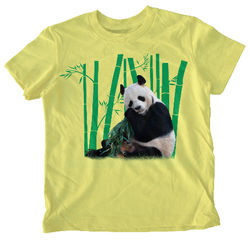 San Diego Zoo
