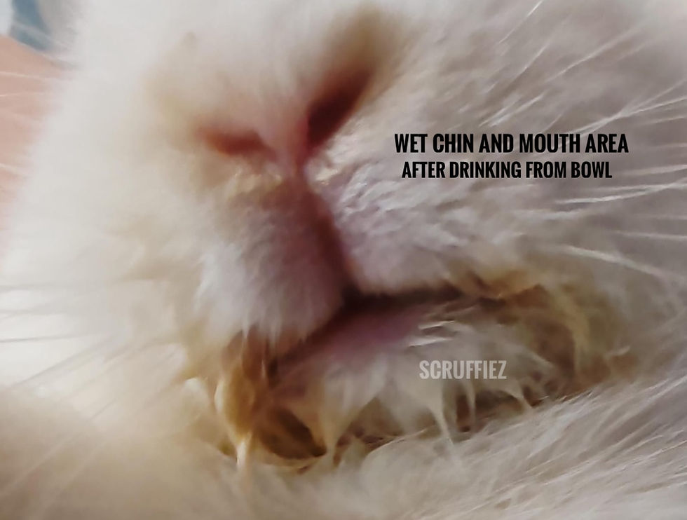 wet mouth & chin must be cleaned and blow dry thoroughly with dry tissue n cool wind