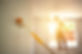 AdobeStock_212548660.jpeg