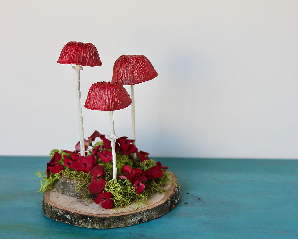 Red Mushrooms
