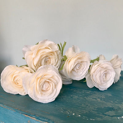 White paper Ranunculus