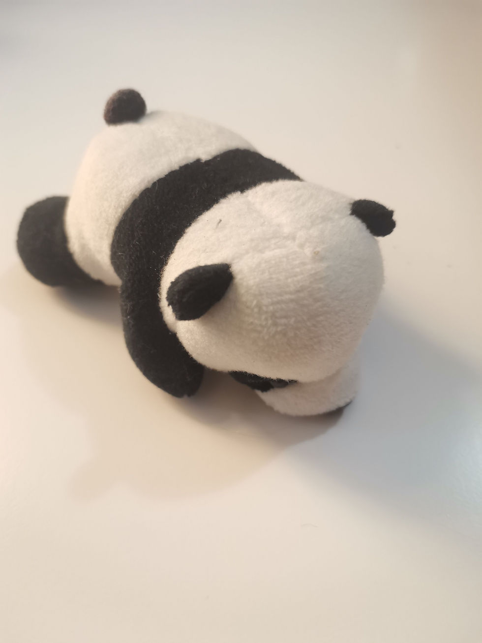 Miniaturbild: Panda Blackeye