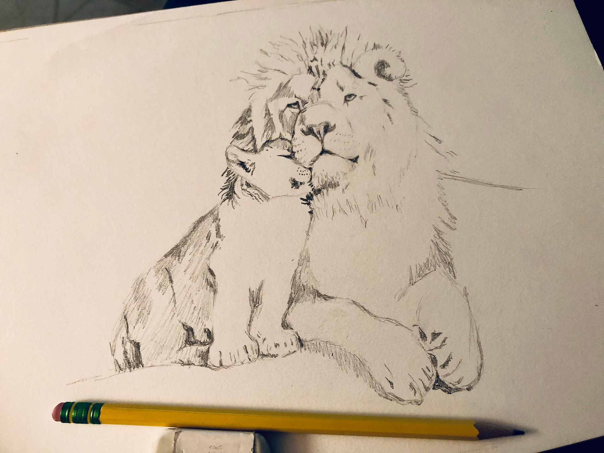 Starting to draw...