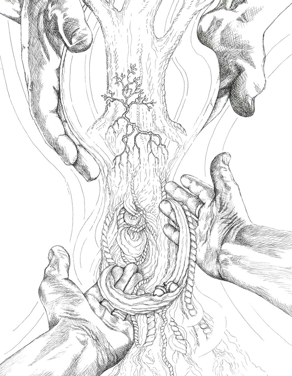 Pen and ink drawing of hands holding a tree and, below, hands holding unknotted cords