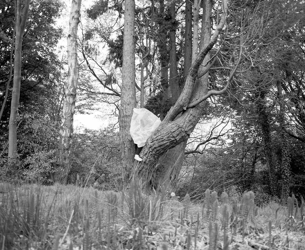 Image 2, 15cm x 10cm, Gelatin Silver Print, 2017