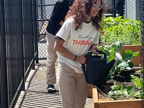 Paterson’s Al “Tambua” Moody Academy for Social Change Builds New School Garden With City Green