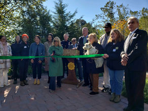 City Green cuts ribbon on Inclusive Healthy Communities project to increase disability access