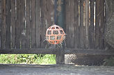 DSC_0355.JPG