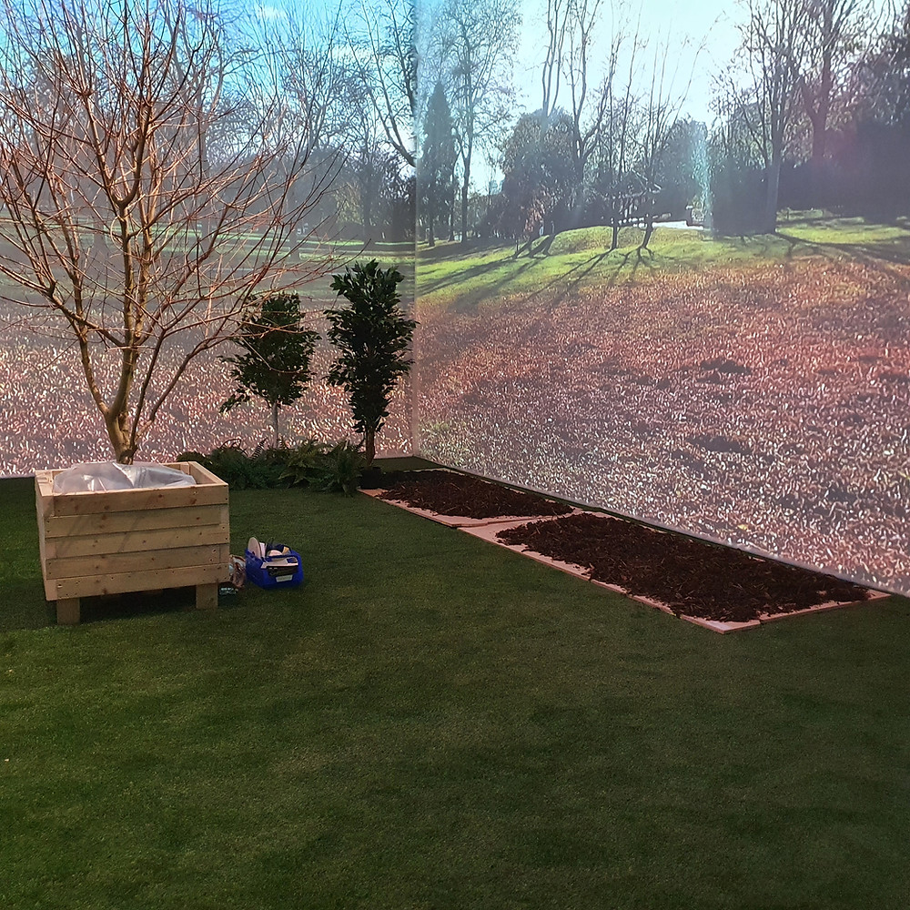 Image of trees and plants in a park, including projections on background screens