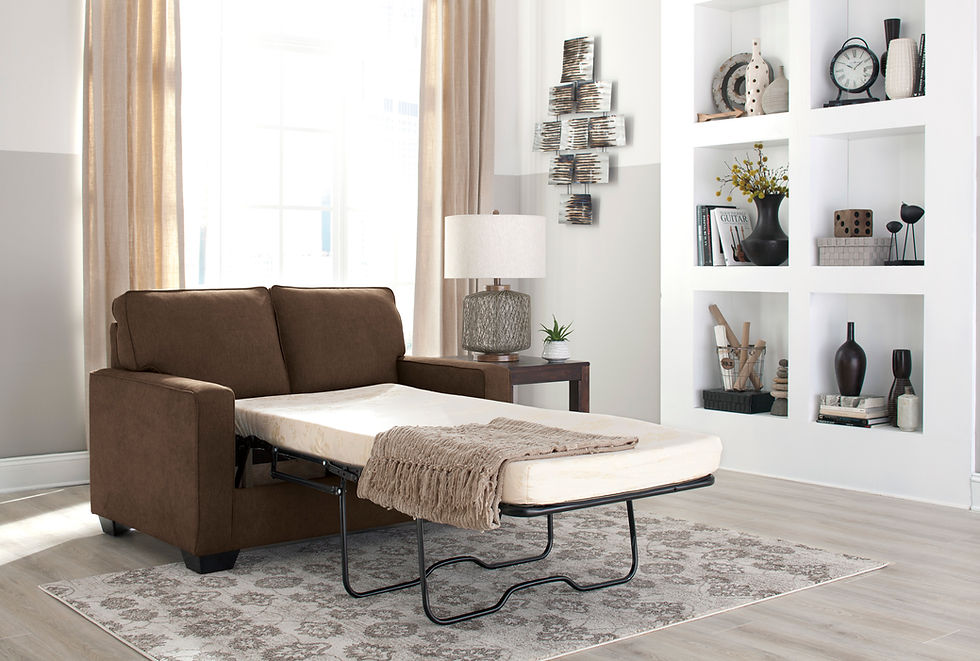 359 Twin Sleeper Sofa *Special order only*