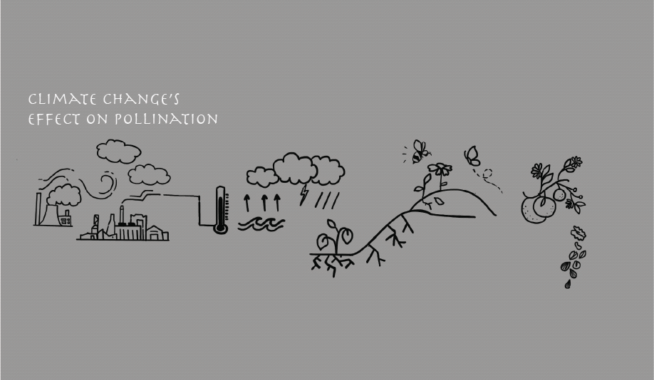 Untitled_Artwork.gif