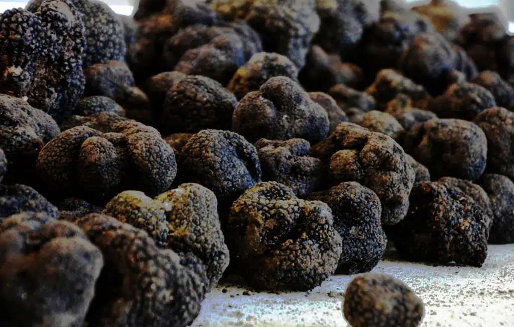 Truffes noire de Villedieu