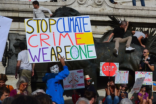 Climate_change_protesters_march_in_Paris_streets_(31434664588).jpeg