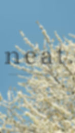 Thumbnail: NEAT Candle - Clementine