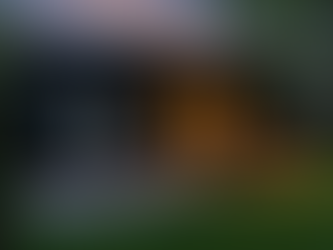 Garden Suite, Garage Suite, or Basement Suite? Calgary’s Premium Guide to Building the Right One