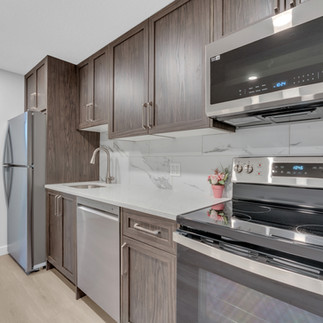 Calgary Basement Builder