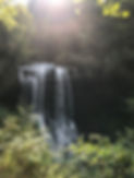 IMG-9628.jpg