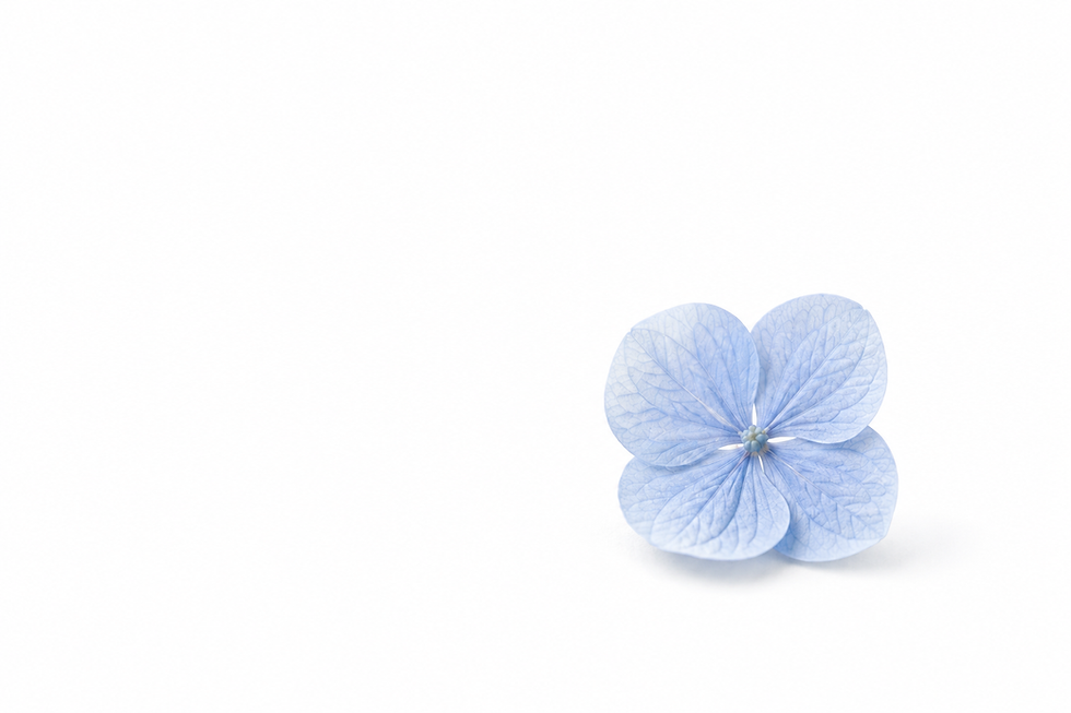 2201C77E-0F12-42B1-966B-7B6D6113684C.png
