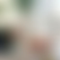 Du soleil dans l'assiette avec cette tarte à la tomate ! 